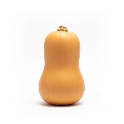 Butternut Squash (Each)