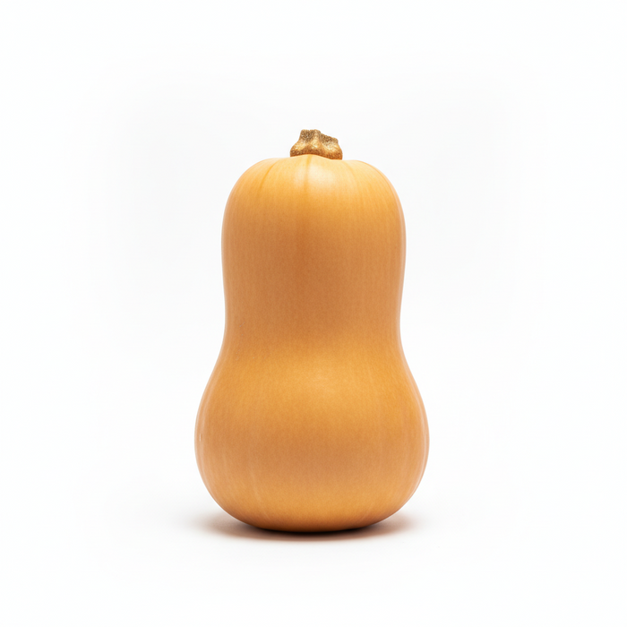 Butternut Squash (Each)