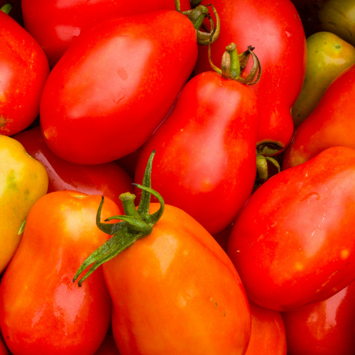 Roma Tomatoes 1kg